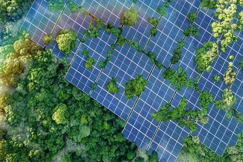 Masivní investice do zelené energie a příležitosti pro české technologie v Thajsku